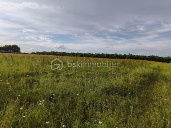 Ce terrain, constructible attend votre projet de construction.
 Le terrain est plat, en fin de zone résidentielle, tourné vers la campagne, tout en étant proche des commodités.
Il vous restera la viabilisation à prévoir pour votre maison individuelle.
L'eau et l'électricité passent tout proche.
