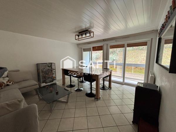 Appart T3 RDC surélevé, 77m2, cave et parking.