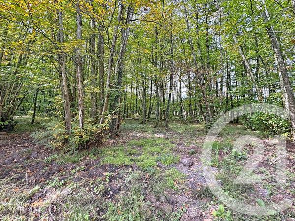 Maison à vendre  6 pièces - 150,94 m2 PRUNIERS EN SOLOGNE - 41