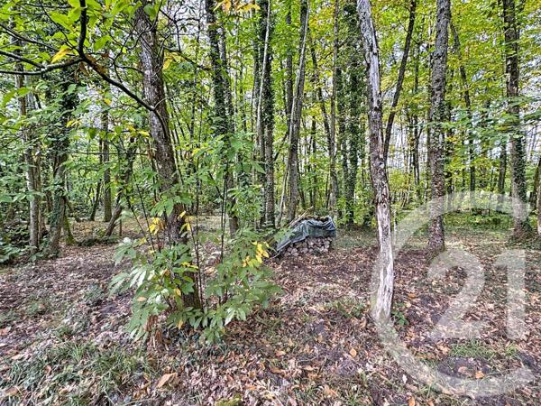 Maison à vendre  6 pièces - 150,94 m2 PRUNIERS EN SOLOGNE - 41