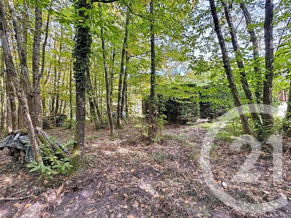 Maison à vendre  6 pièces - 150,94 m2 PRUNIERS EN SOLOGNE - 41