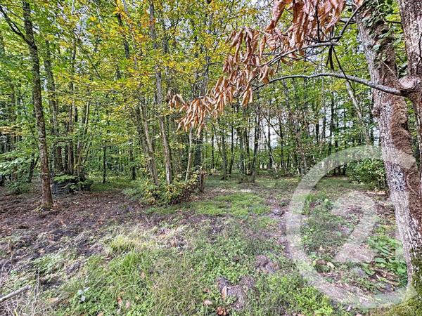 Maison à vendre  6 pièces - 150,94 m2 PRUNIERS EN SOLOGNE - 41