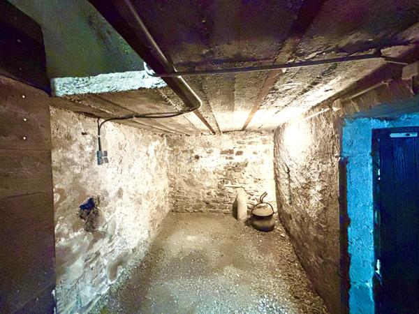 Vous recherchez un bien avec du caractère, de beaux volumes et de multiples possibilités d’aménagement ? Cette charmante maison de village en triplex, située au cœur de Saint-Pierre-d’Albigny, pourrait bien être votre coup de cœur.

Derrière sa façade discrète se cache une maison pleine d’authenticité, offrant 138 m² habitables, idéale pour une famille, un projet bi-familial ou encore un investissement locatif grâce à ses deux entrées indépendantes permettant d’envisager facilement la création de deux logements distincts.

Dès le sous-sol, vous découvrirez une magnifique cave voûtée de 22 m², parfaite pour conserver vos meilleurs crus ou aménager un espace de dégustation au charme indéniable.

Au rez-de-chaussée, une vaste pièce de stockage de plus de 27 m² offre de nombreuses perspectives : atelier, espace professionnel ou création d’un studio indépendant selon vos besoins.

L’espace de vie principal se développe sur plusieurs niveaux. Au premier étage, la cuisine ouverte sur le séjour, d’une superficie d’environ 34 m², constitue un véritable lieu de partage et de convivialité. Un cellier complète cet espace fonctionnel. Vous profiterez également d’un salon indépendant de 16 m², idéal pour les moments de détente.

La maison dispose de trois chambres réparties sur différents niveaux, offrant à chacun son intimité. La chambre parentale, située au dernier étage, séduit par ses beaux volumes avec une chambre de 17,5 m², un dressing de 7 m² et un balcon privatif, véritable petit cocon pour profiter des beaux jours.

Une grande salle de bains d’environ 10 m² ainsi que deux WC viennent compléter l’ensemble.

Côté confort, la maison bénéficie d’un système de chauffage performant par pompe à chaleur air/eau avec radiateurs, de menuiseries en double vitrage, du tout-à-l’égout, ainsi que d’un diagnostic de performance énergétique classé D. Autre avantage appréciable : une taxe foncière maîtrisée de seulement 542 € par an.

Construite avant 1949, cette maison a su conserver son âme tout en offrant le confort nécessaire à une vie de famille moderne.

Un bien rare et atypique, à découvrir sans tarder pour imaginer tous les projets qu’il peut accueillir.

Pour plus d’informations ou organiser une visite, contactez-nous dès maintenant