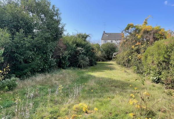 Terrain Verrieres Le Buisson 380 m2