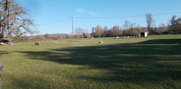 Maison 7 pièces de 150 m² à Balbigny (42510)