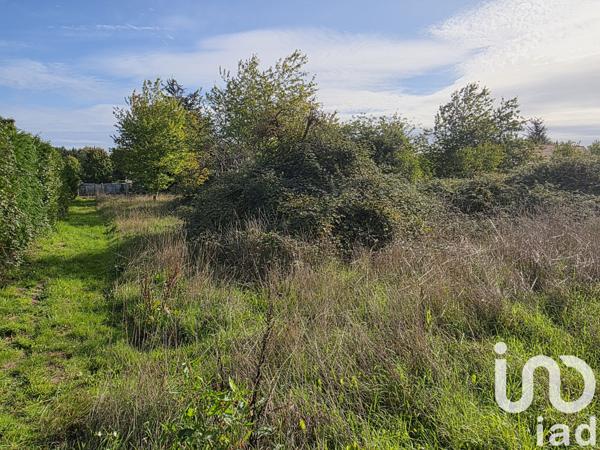 Terrain à vendre 1 831 m² Cérans-Foulletourte