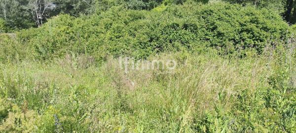 terrain constructible