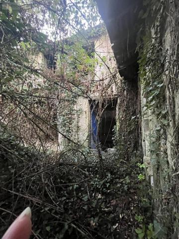 Maison à vendre à Brizay dans l'Indre-et-Loire (37220), ref : 37060-2316