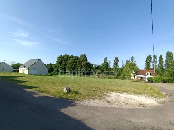 Terrain à vendre NOE (89)