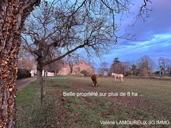 Vente / Maison et grand terrain