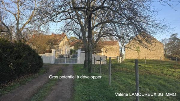 Vente / Maison et grand terrain