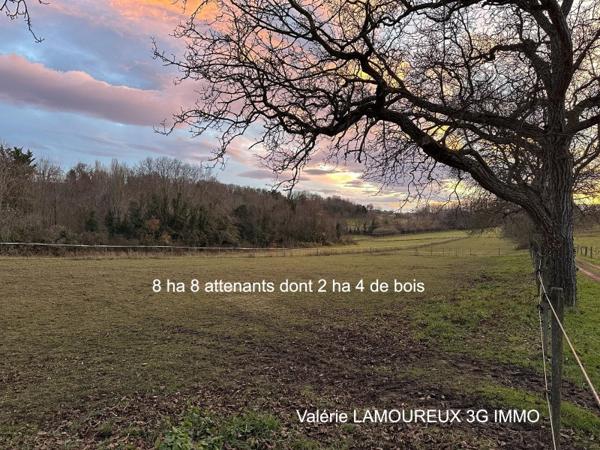 Vente / Maison et grand terrain