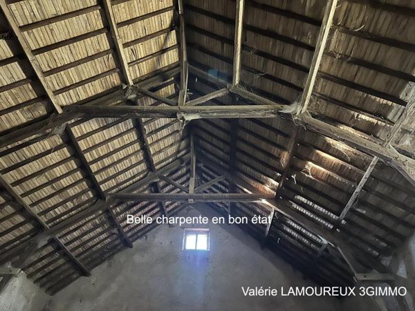 Vente / Maison et grand terrain