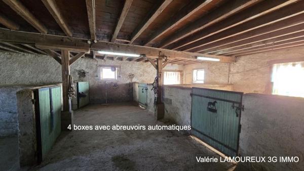 Vente / Maison et grand terrain