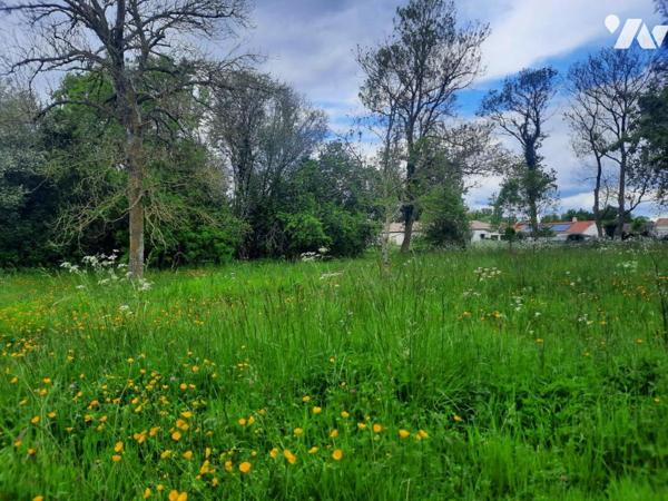 COMMEQUIERS - Grande parcelle de terrain à bâtir