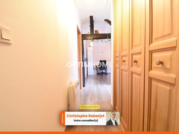 Joli appartement de 60m2 atypique au calme tout en étant au centre-ville de CHALON SUR SAONE (71)