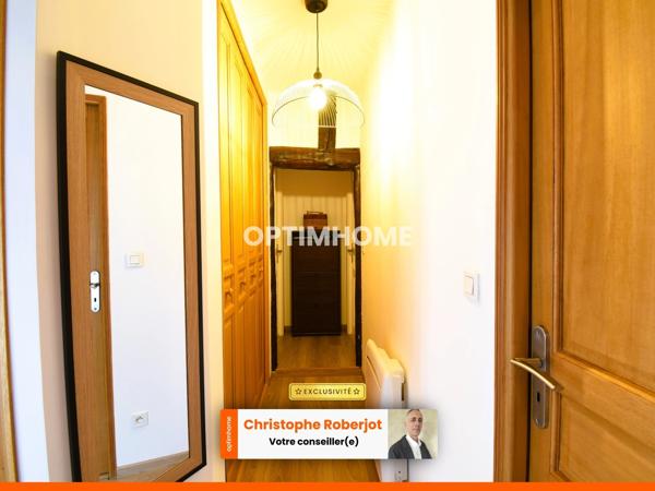 Joli appartement de 60m2 atypique au calme tout en étant au centre-ville de CHALON SUR SAONE (71)