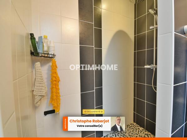 Joli appartement de 60m2 atypique au calme tout en étant au centre-ville de CHALON SUR SAONE (71)