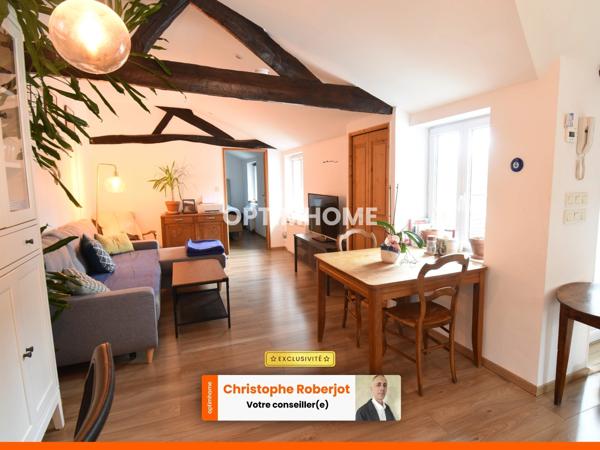 Joli appartement de 60m2 atypique au calme tout en étant au centre-ville de CHALON SUR SAONE (71)