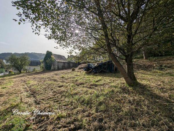 Grand terrain constructible