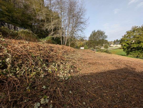 Grand terrain constructible