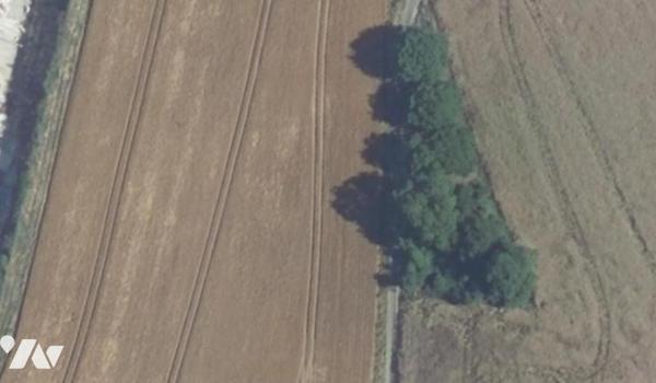Une parcelle de bois et taillis