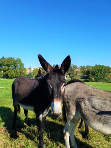 Terrain viabilisé avec une belle vue panoramique