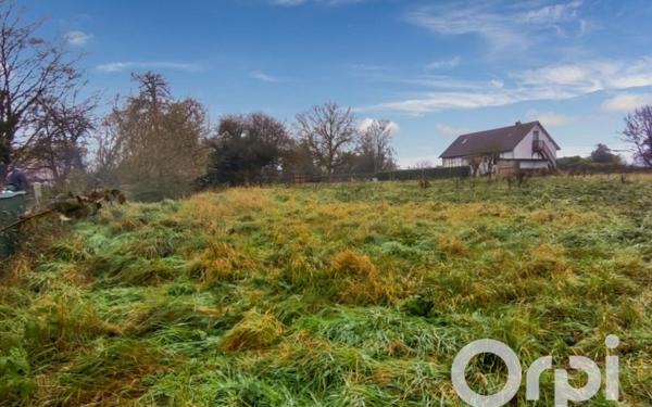Terrain à vendre    Beauvoir-en-Lyons