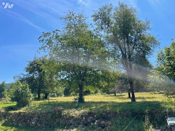 A VENDRE PARCELLE TERRAIN A BATIR LE VAL D'AJOL VOSGES 88
Parcelle de terrain à bâtir situé en...
