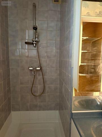 Appartement à rénover à vendre à Troyes dans l'Aube (10000), ref : 10010/426   
Marie de Champagne