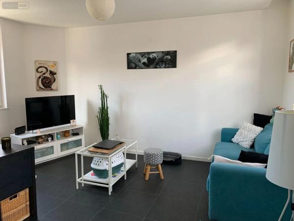Location - Appartement Bailleul 59270 3 pièces 51 m 2