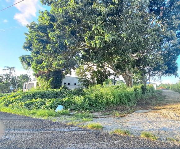 Terrain à bâtir à Baie-Mahault