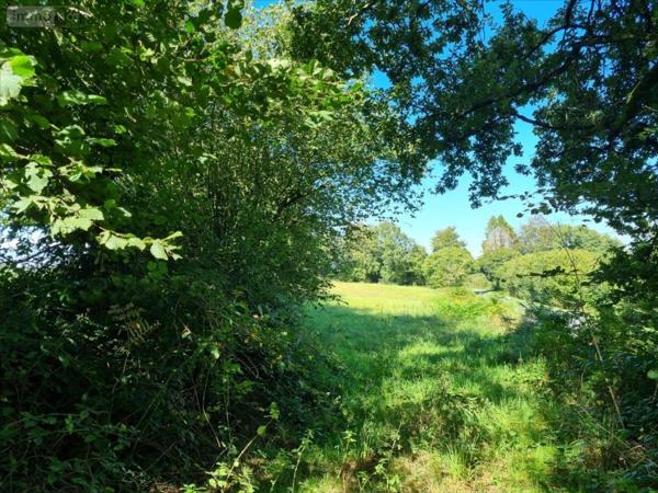 Maison à vendre à La Chapelle-Neuve dans les Côtes-d'Armor (22160), ref : 29066-1087807