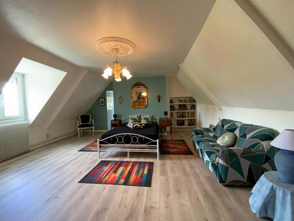 propriété  de charme avec dépendances 12 pièce(s) 262 m2