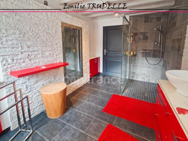 Propriete à vendre 11 pièces LA CHARTRE SUR LE LOIR (72) avec loft, gîte, piscine intérieure et spa – 324 m² habitables – 7 chambres – Terrain de 5 130 m²