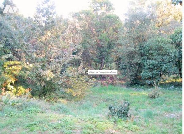 Maison d'habitation NOIRMOUTIER en l'ILE