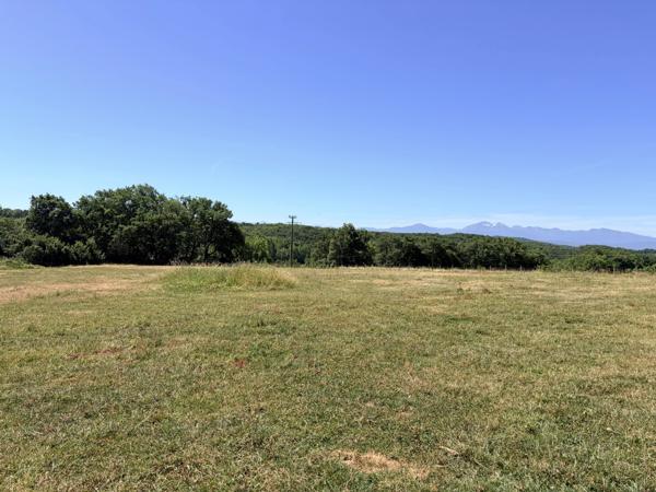 Propriété équestre avec de vastes prairies en bordure d'un magnifique lac de pêche