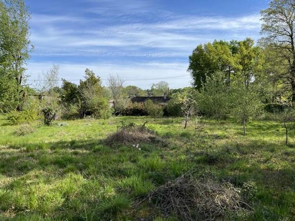 Terrain à vendre |  Tresses |  1101 m²