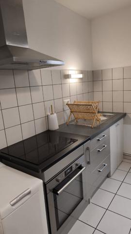 Appartement Puy-guillaume 3 pièce(s) 56 m2