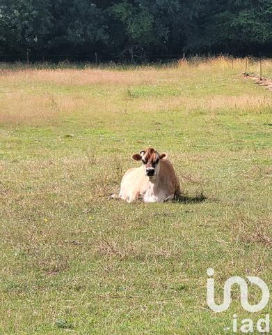 Maison à vendre 4 pièces 100 m² Neuvy