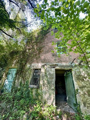 TOURRETTES SUR LOUP - MAS A RENOVER AVEC 10 000M² DE TERRAINS