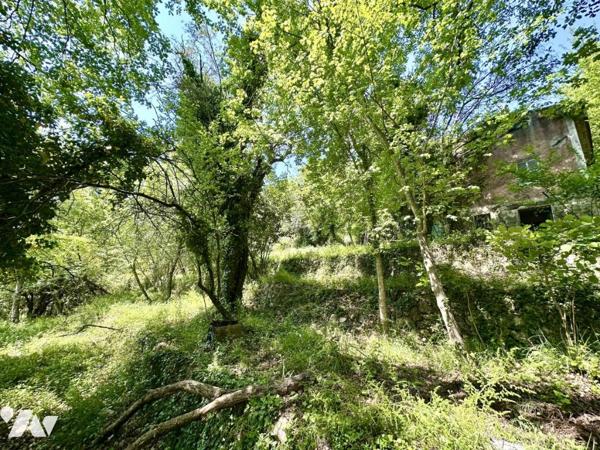 TOURRETTES SUR LOUP - MAS A RENOVER AVEC 10 000M² DE TERRAINS