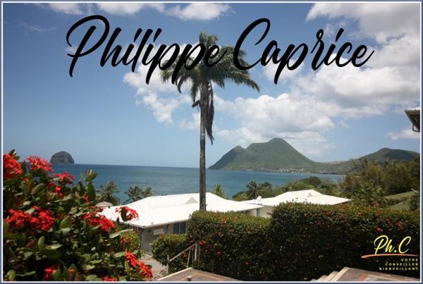 Appartement à vendre 1 pièce LE DIAMANT (972)