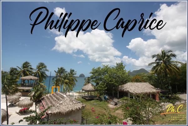 Appartement à vendre 1 pièce LE DIAMANT (972)