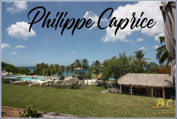 Appartement à vendre 1 pièce LE DIAMANT (972)