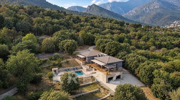 Villa contemporaine en bois et pierre, au cœur des montagnes corses