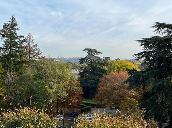 ECULLY, BEL APPARTEMENT DS PARC, PISCINE ET TENNIS