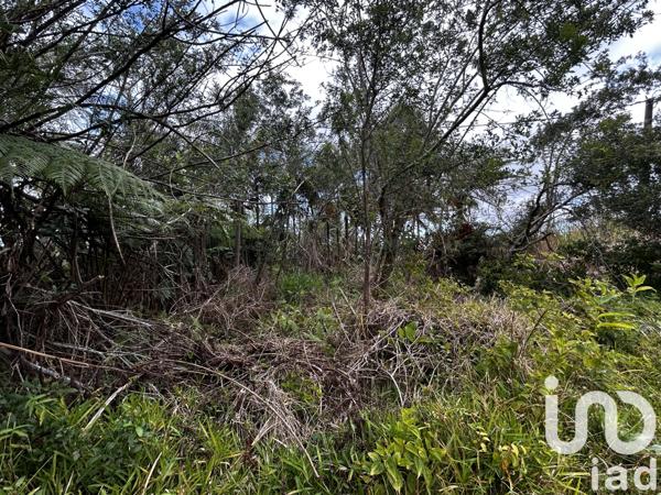 Terrain à vendre 591 m² Saint-Joseph