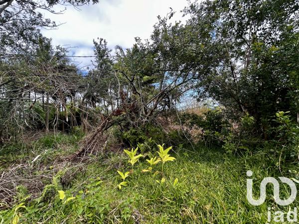 Terrain à vendre 591 m² Saint-Joseph