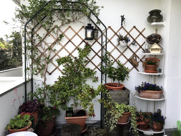 EXCLUSIVITÉ COUP DE C?UR ! - rue Emile Clermont